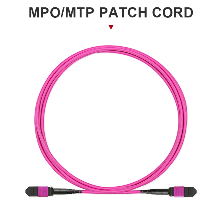 Wholesale Price MPO/Mpt/Sc/St/FC/LC Fiber Optic Cable Patch Cord